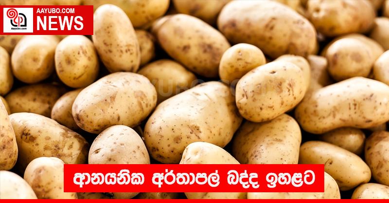 ආනයනික අර්තාපල් බද්ද ඉහළට