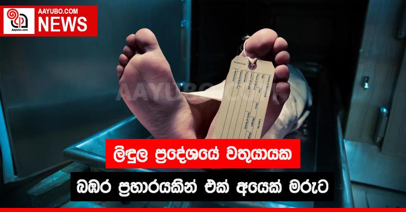 ලිඳුල ප්‍රදේශයේ වතුයායක බඹර ප්‍රහාරයකින් එක් අයෙක් මරුට