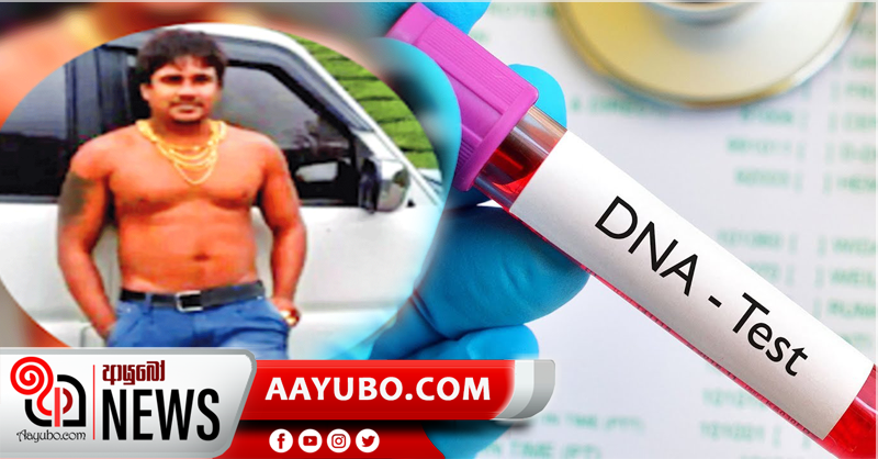 අංගොඩ ලොක්කාගේ මවගේ සහ සොහොයුරියගේ DNA  සාම්පල ලබාගනී
