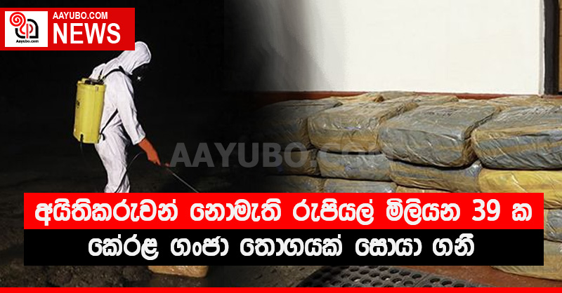 අයිතිකරුවන් නොමැති රුපියල් මිලියන 39 ක කේරළ ගංජා තොගයක් සොයා ගනී (PHOTOS)