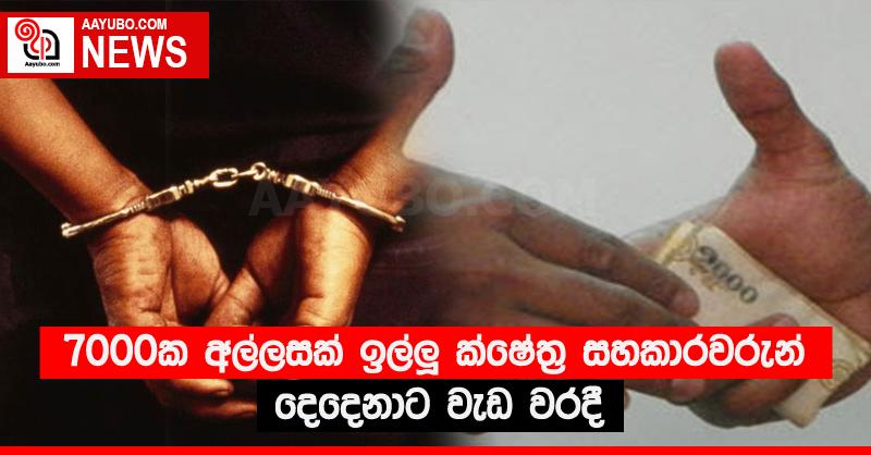 7000ක අල්ලසක් ඉල්ලූ ක්ෂේත්‍ර සහකාරවරුන් දෙදෙනාට වැඩ වරදී