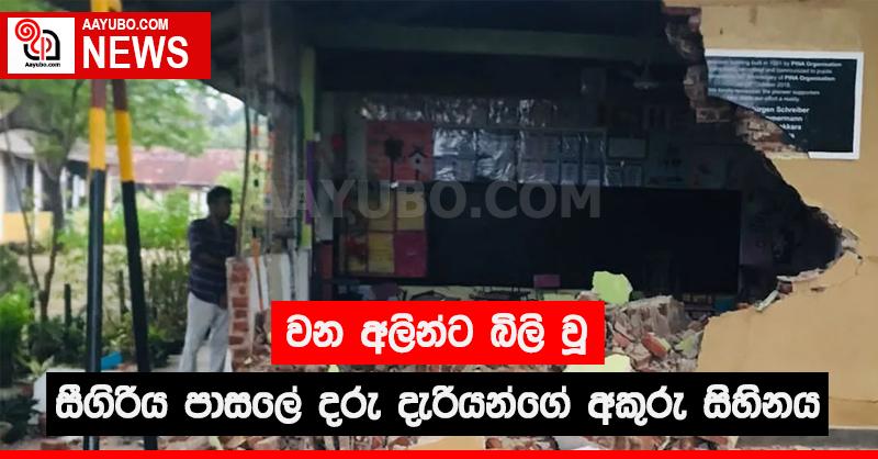 වන අලින්ට බිලි වූ සීගිරිය පාසලේ දරු දැරියන්ගේ අකුරු සිහිනය