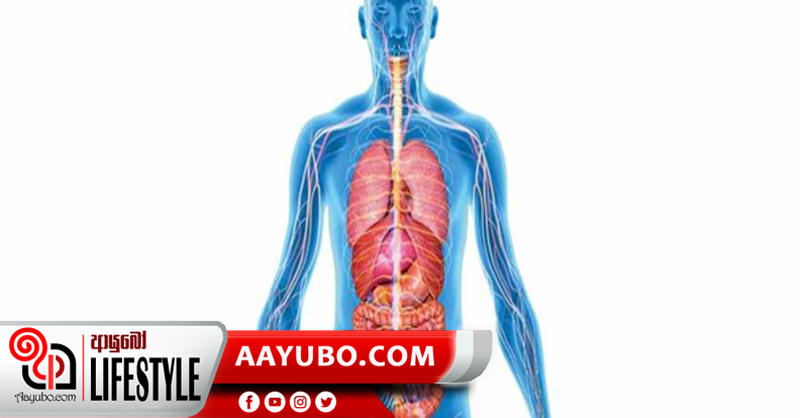 අවයව බද්ධ කිරීම ගැන