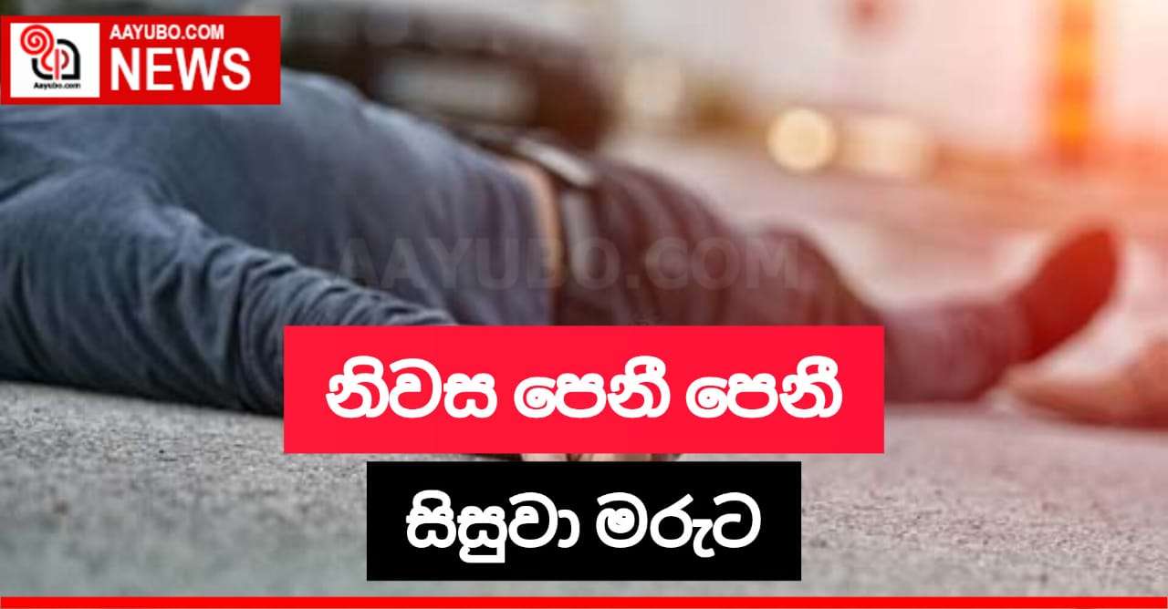 මෝටර් රථයක් හා පාපැදියක් මුහුණට මුහුණ ගැටී 15 හැවිරිදි පාසල් සිසුවෙක් ජීවිතක්ෂයට 