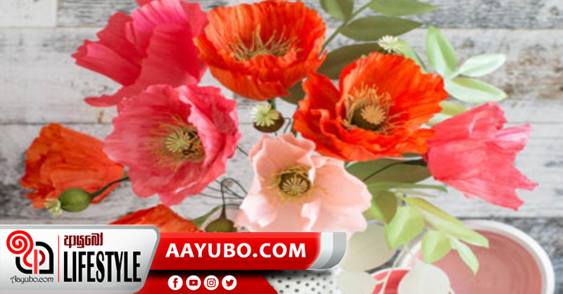 ආලින්දය හැඩ කරන සුන්දර පියොනි මල්