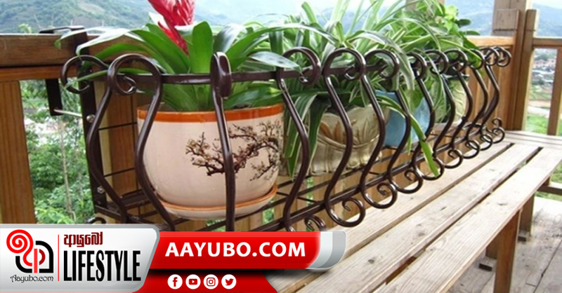 ඉඩකඩ ඉතිරි කරමින් රාක්ක වල මල් වවමු