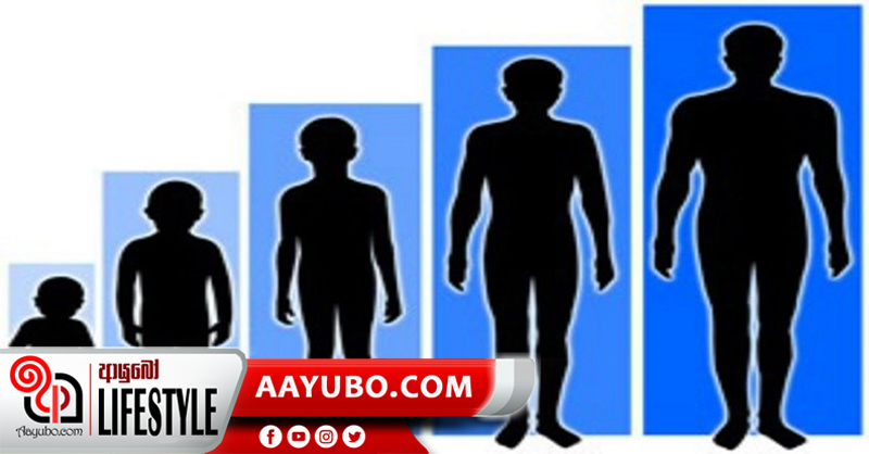 උස යන්නේ කොහොමද