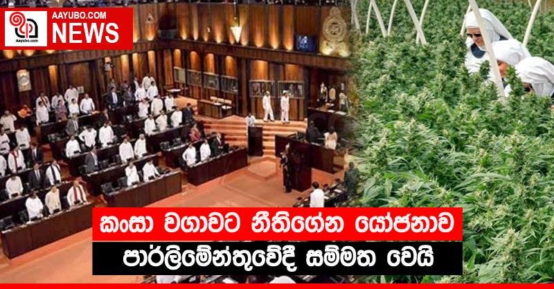 කංසා වගාවට නීතිගේන යෝජනාව පාර්ලිමේන්තුවේදී සම්මත වෙයි
