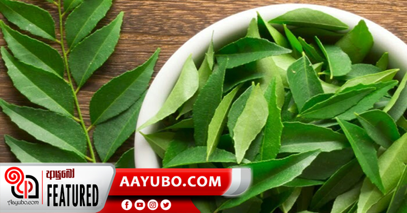 කරපිංචා වල ගුණ 