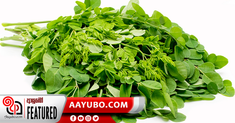 කවුරුත් දන්නා මුරුංගා වල නොදන්නා ගුණ 