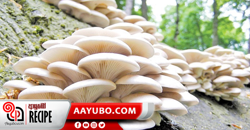 ක්‍රීම් ඔෆ් මශෲම් සුප්