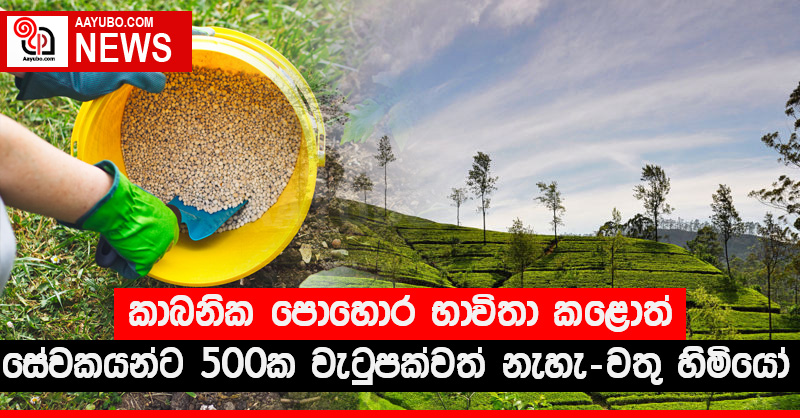 කාබනික පොහොර භාවිතා කළොත් සේවකයන්ට රුපියල් 500ක වැටුපක්වත් නැහැ වතු හිමියෝ
