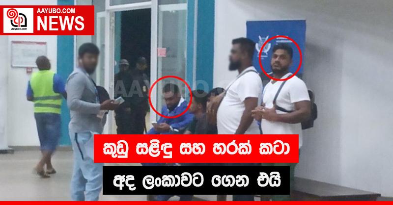 කුඩු සලිඳු සහ හරක් කටා අද ලංකාවට ගෙන එයි