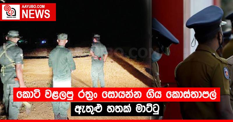 කොටි වළලපු රත්‍රං සොයන්න ගිය කොස්තාපල් ඇතුළු හතක් මාට්ටු
