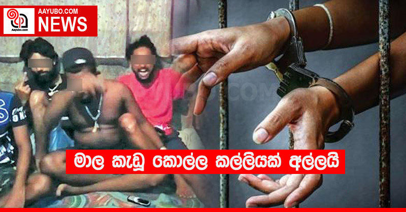 මාල කැඩූ කොල්ල කල්ලියක් අල්ලයි