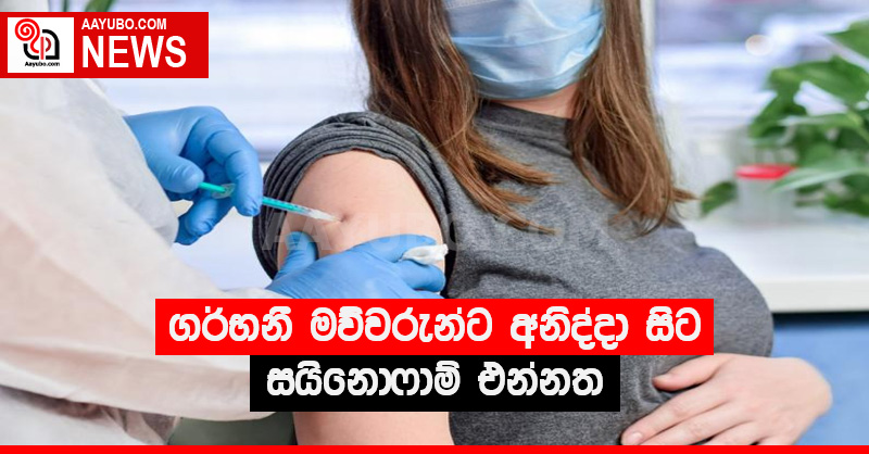 ගර්භනී මව්වරුන්ට අනිද්දා සිට සයිනොෆාම් එන්නත
