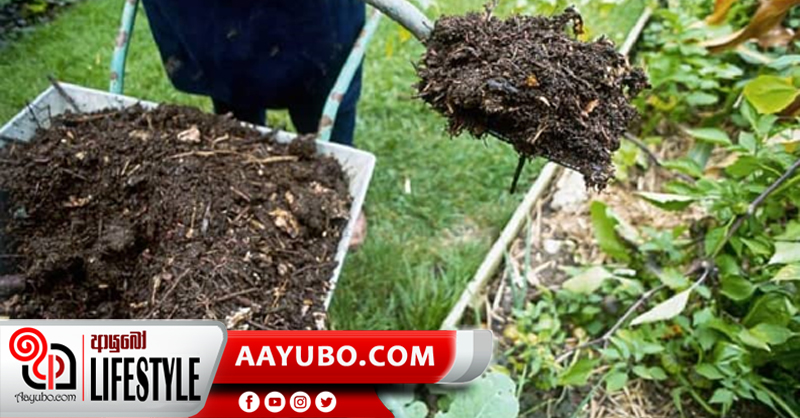 ගෙවත්තකට අත්‍යවශ්‍යම කොම්පෝස්ට් කොටුව
