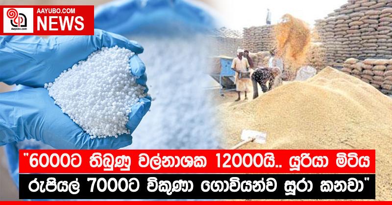 “6000ට තිබුණු වල්නාශක 12000යි.. යූරියා මිටිය රුපියල් 7000ට විකුණා ගොවියන්ව සූරා කනවා”