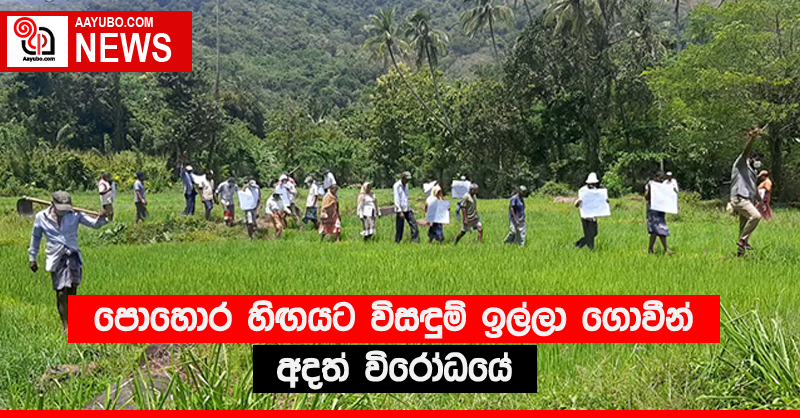 පොහොර හිඟයට විසඳුම් ඉල්ලා ගොවීන් අදත් විරෝධයේ