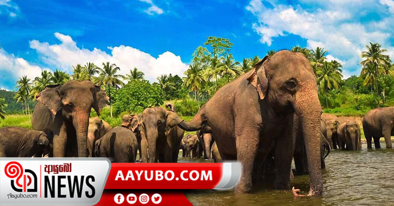 දෙහිවල, පින්නවල සහ රිදියගම කොන්දේසි මත හෙට සිට විවෘතයි