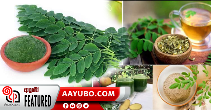 දෙවියන් විසින් තෑගි කළ දිර්ඝායුෂ ශාක පත්‍රය