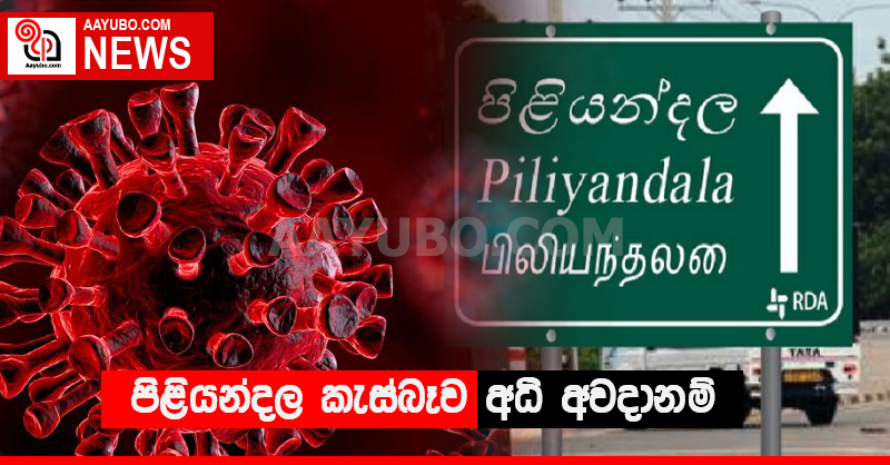 පිළියන්දල කැස්බෑව අධි අවදානම්