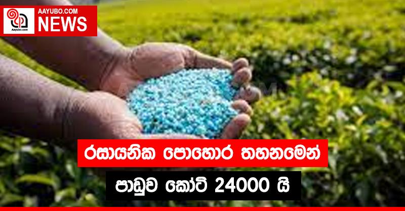 රසායනික පොහොර තහනමෙන් පාඩුව කෝටි 24000 යි