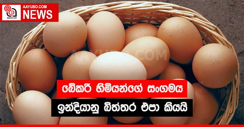 බේකරි හිමියන්ගේ සංගමය ඉන්දියානු බිත්තර එපා කියයි