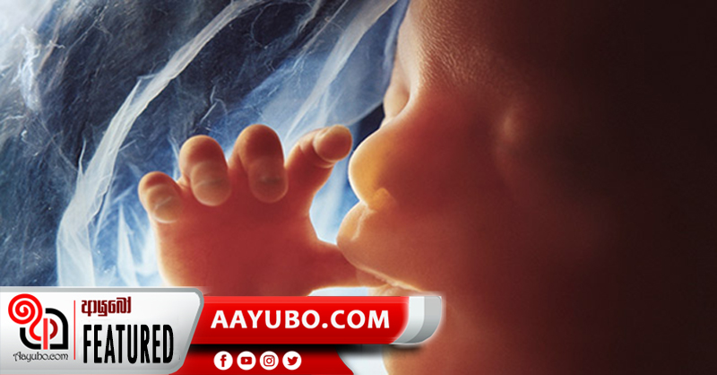 බිළිදාට සුව සරසන මව්කුසේ තරලය