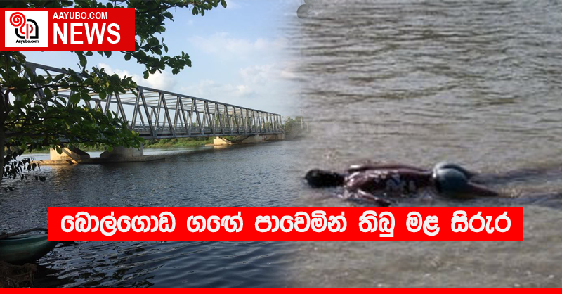 බොල්ගොඩ ගඟේ පාවෙමින් තිබු මළ සිරුර