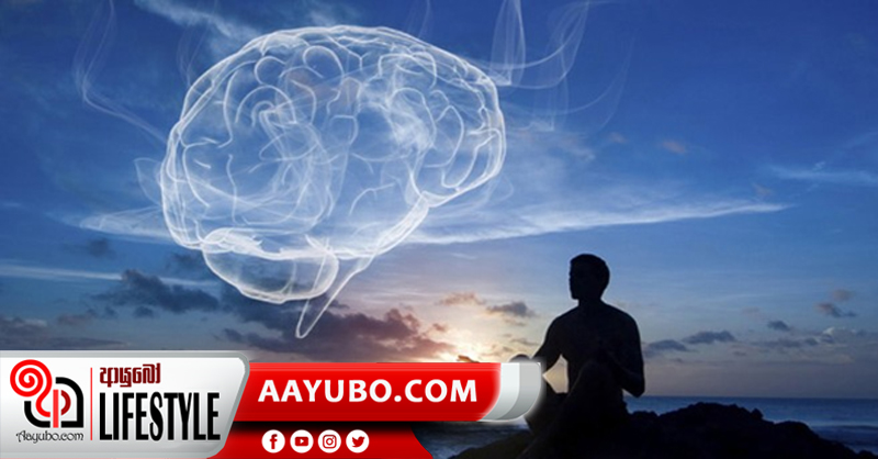 භාවනාව පිටුපස ස්නායු විද්‍යාව