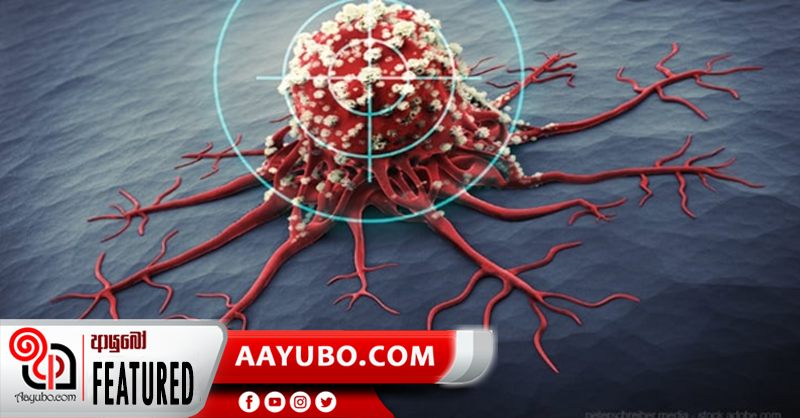 මාරාන්තික පිළිකාවට හතු වලින් විසඳුමක්