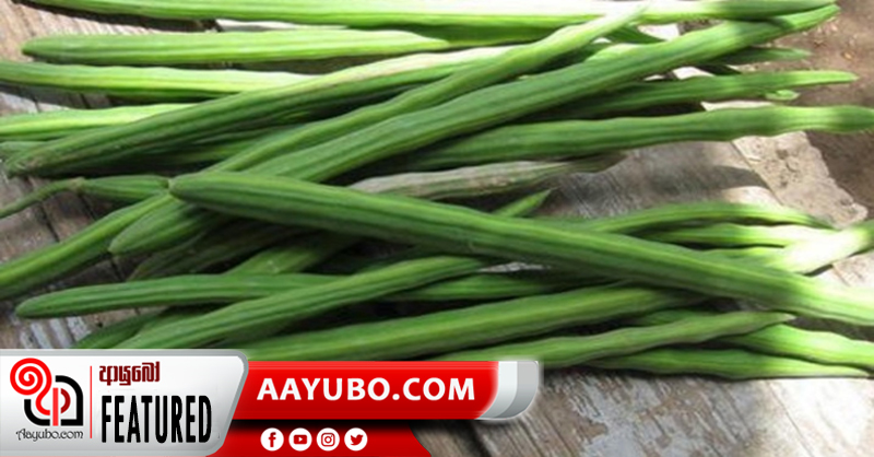 රසයෙන් ගුණයෙන් අනූන මුරුංගා