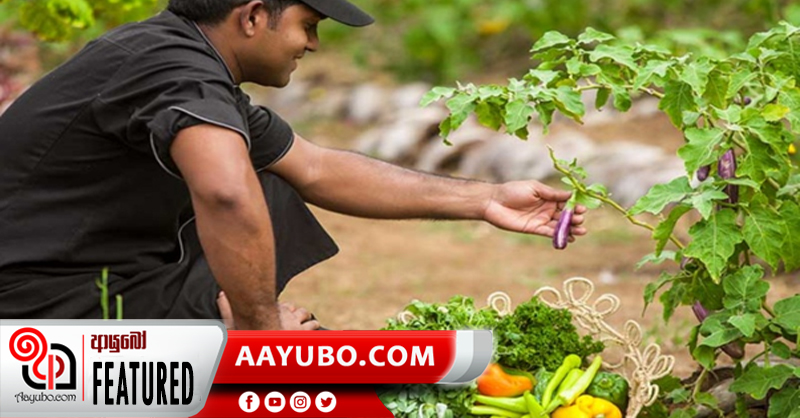 ලාංකීය ආර්ථිකයට කෘෂිකර්මාන්තයේ දායකත්වය කෙබඳුද