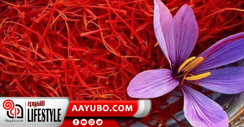ලියන් සුරලියන් කරන කුංකුම