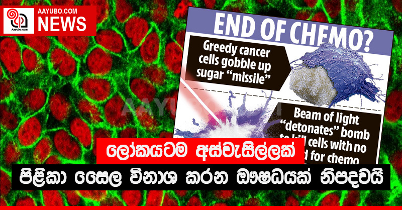 ලෝකයටම අස්වැසිල්ලක් - පිළිකා සෛල විනාශ කරන ඔෟෂධයක් නිපදවයි