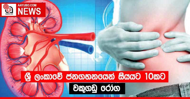 ශ්‍රී ලංකාවේ ජනගහනයෙන් සියයට 10කට වකුගඩු රෝග
