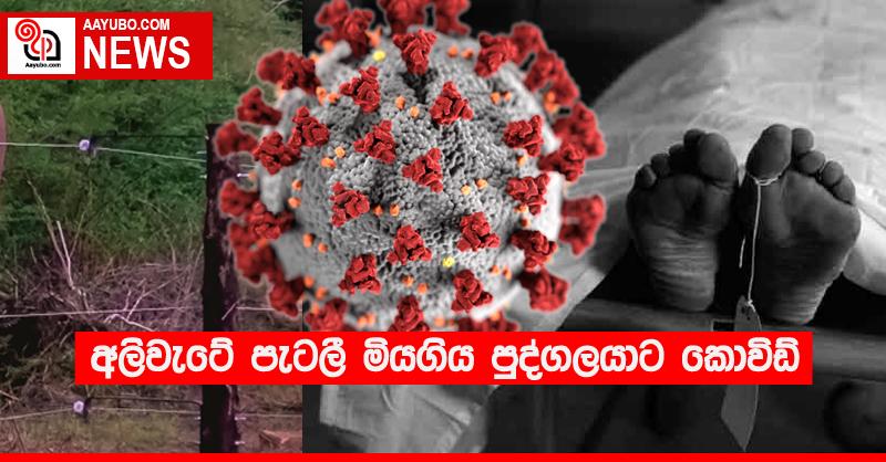 අලිවැටේ පැටලී මියගිය පුද්ගලයාට කොවිඩ්