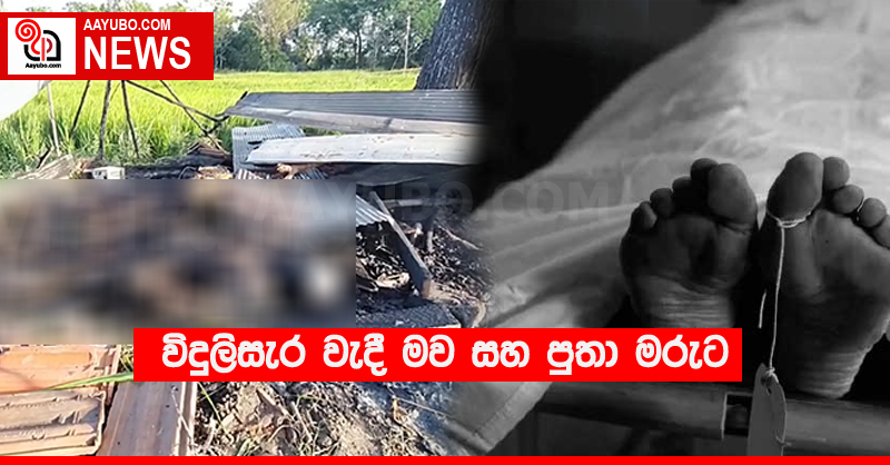 විදුලිසැර වැදී මව සහ පුතා මරුට 