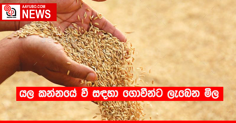 යල කන්නයේ වී සඳහා ගොවීන්ට ලැබෙන මිල