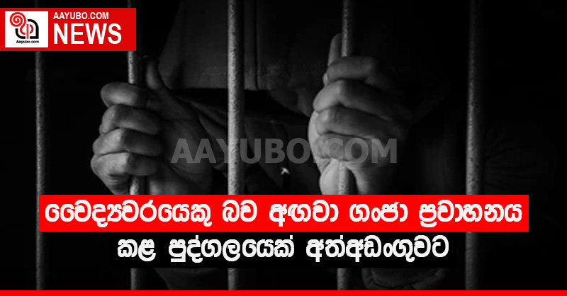 වෛද්‍යවරයෙකු බව අඟවා ගංජා ප්‍රවාහනය කළ පුද්ගලයෙක් අත්අඩංගුවට