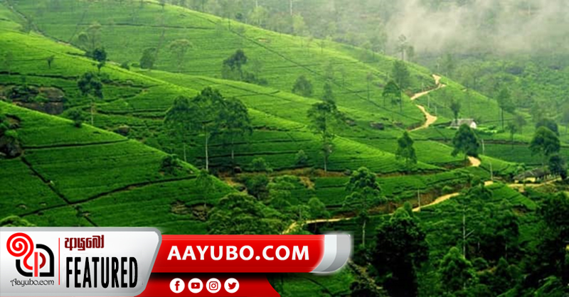 ශ්‍රී ලංකාවේ භූගෝලීය අනන්‍යතාවය පිළිබදව දැනුවත් වෙමු