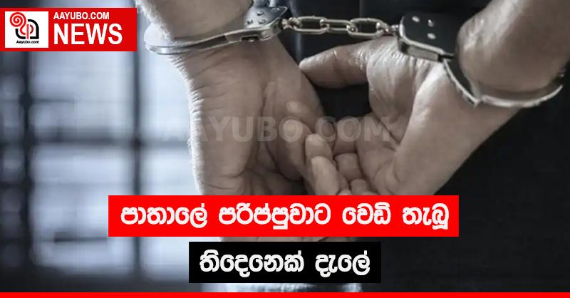 පාතාලේ පරිප්පුවාට වෙඩි තැබූ තිදෙනෙක් දැලේ