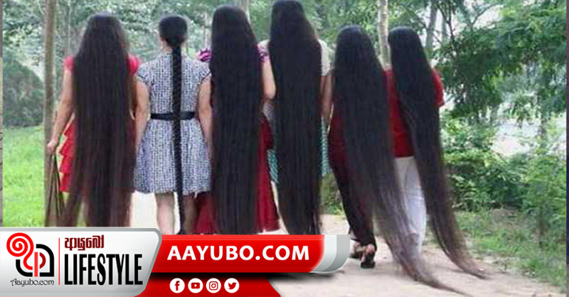 සතියෙන් දනහිස ලගට කොන්ඩෙ වවා ගන්න විස්මිත බේතක්