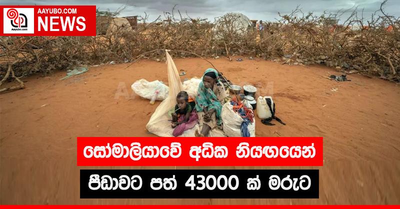 සෝමාලියාවේ අධික නියඟයෙන් පීඩාවට පත් 43000 ක් මරුට