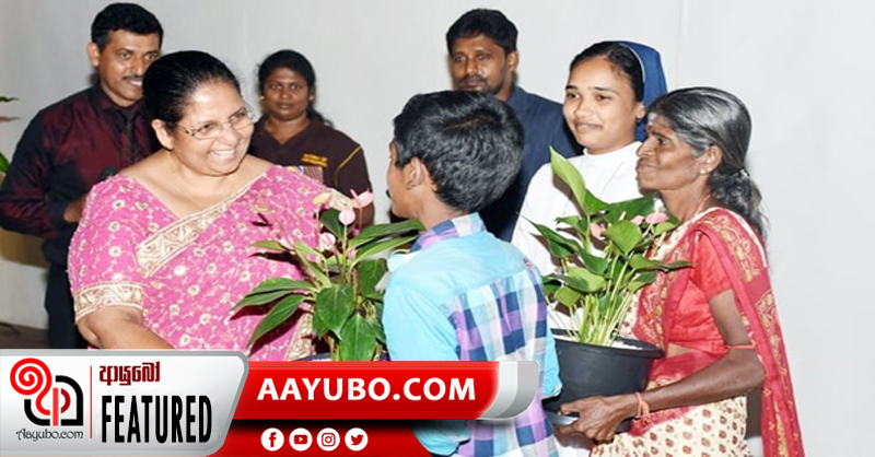 හදවතේ හැඩය ඇති ඇන්තුරියම් මලට ආදරය කළ ඇය