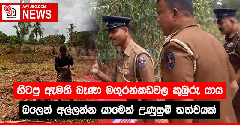 හිටපු ඇමති බෑණා මගුරන්කඩවල කුඹුරු යාය බලෙන් අල්ලන්න යාමෙන් උණුසුම් තත්වයක්