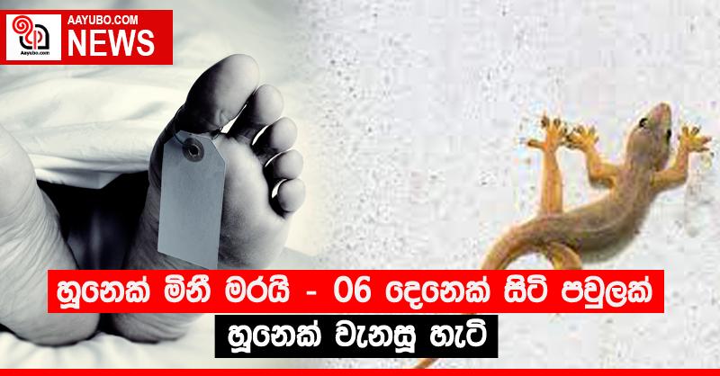හූනෙක් මිනී මරයි - 06 දෙනෙක් සිටි පවුලක් හූනෙක් වැනසූ හැටි
